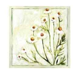 Servetten Camomille Ihr