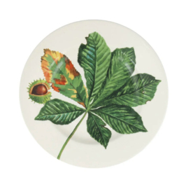 Ontbijtbord Horse Chestnut & Conker Emma Bridgewater