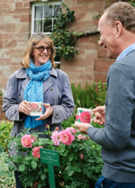 1/2 Pt Mok Emma's Rose Emma Bridgewater