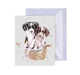 Kaartje Pedals and Paws Wrendale Designs