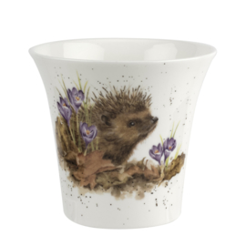 Bloempot / Vaasje Hedgehog - Wrendale Designs