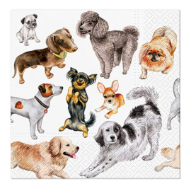 Servetten Honden Wurm