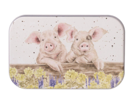 Blikje Nosy Neigh-boars Wrendale Designs