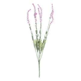 Tak Roze Kunst Lavendel (46 cm.) - Clayre & Eef