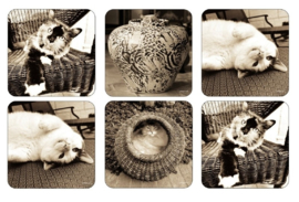 Onderzetters (6) - Pimpernel Kitty Club