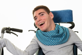 Grå og bordeaux stribe