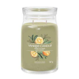 Sage & Citrus (large)