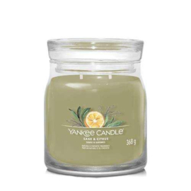 Sage & Citrus (medium)