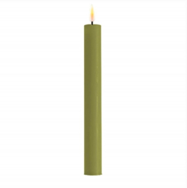 Led Candle Dinner 24cm  (REAL FLAME) salvie green 2st