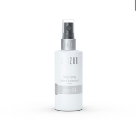 Grey 04 Bodyspray 100ml