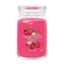 Red Raspberry (large)