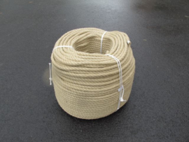 Spleitex rope 10 mm