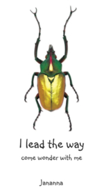I lead the way