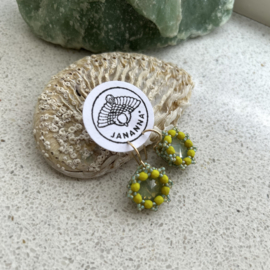 Pistache & Celadon