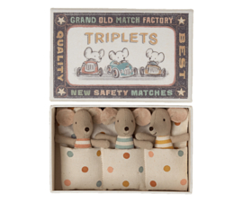 Triplets. Babymice in Matchbox.