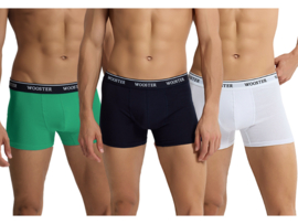 3-Pack WOOSTER® Heren Boxershorts - Zwart-Wit-Groen