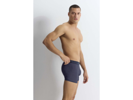 3-Pack WOOSTER® Heren Boxershorts met Prints - Blauw-mix