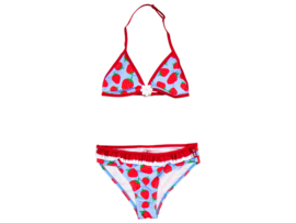 Bikini - Aardbeien - Blauw/Rood