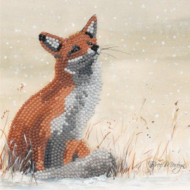 Kaart Foy