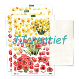 Watering Can Blossems en blooms