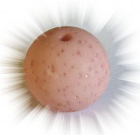 lava rose 12 of 20mm