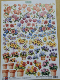 Arched Floral Window & Doors