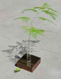 Mirror vase