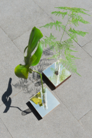 Mirror vase