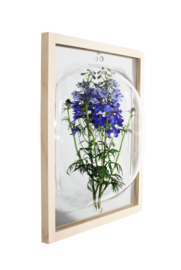 Showcase Mirror