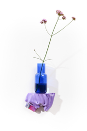 Purple | no.100 / 2021