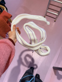 White with Blue stripes