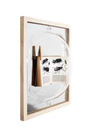 Showcase Mirror