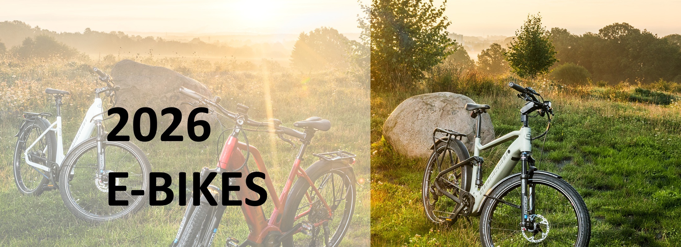 Gudereit E-Bikes 2026