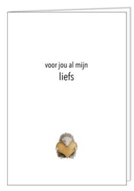 Postkaart voor jou al mijn liefs