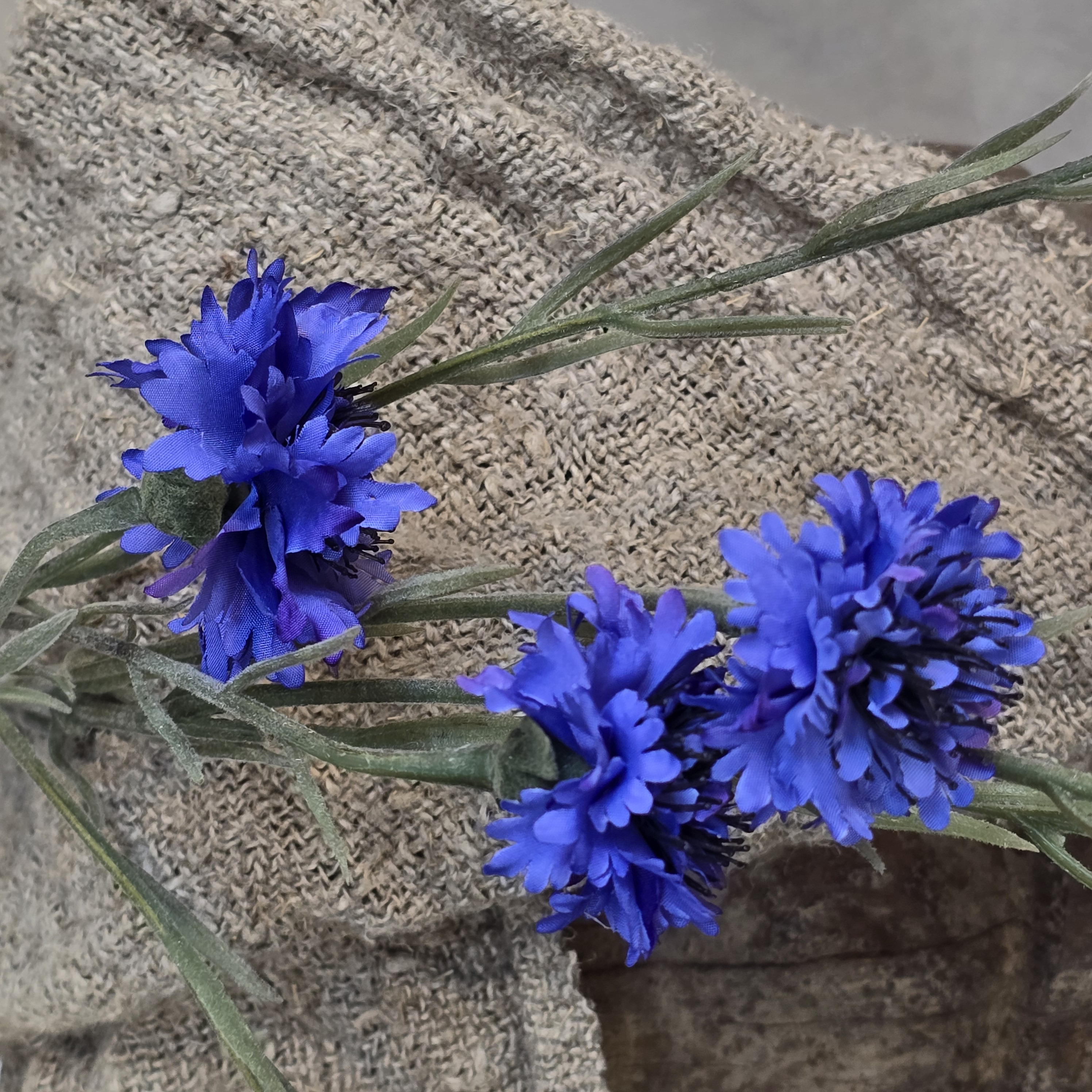 Corn Flower Spray