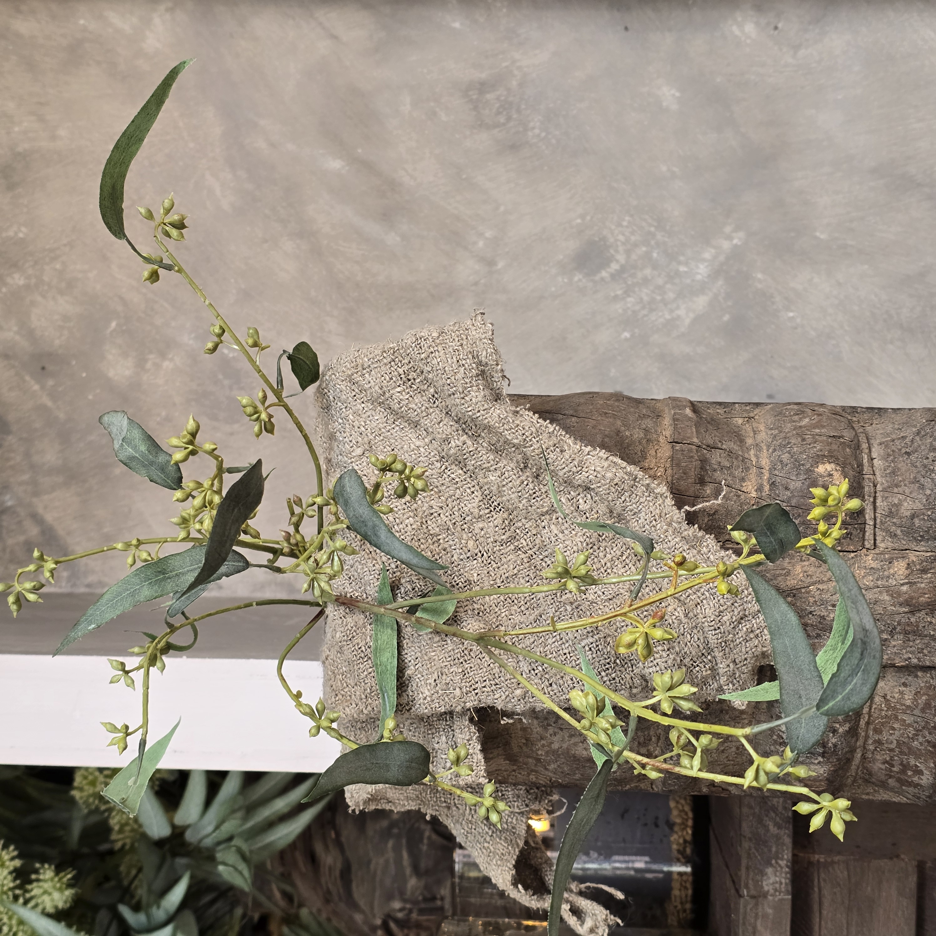 Eucalyptus Seeds Spray