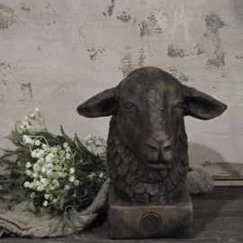 Schaap A7931-10