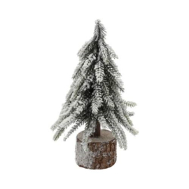 Kerstboompje