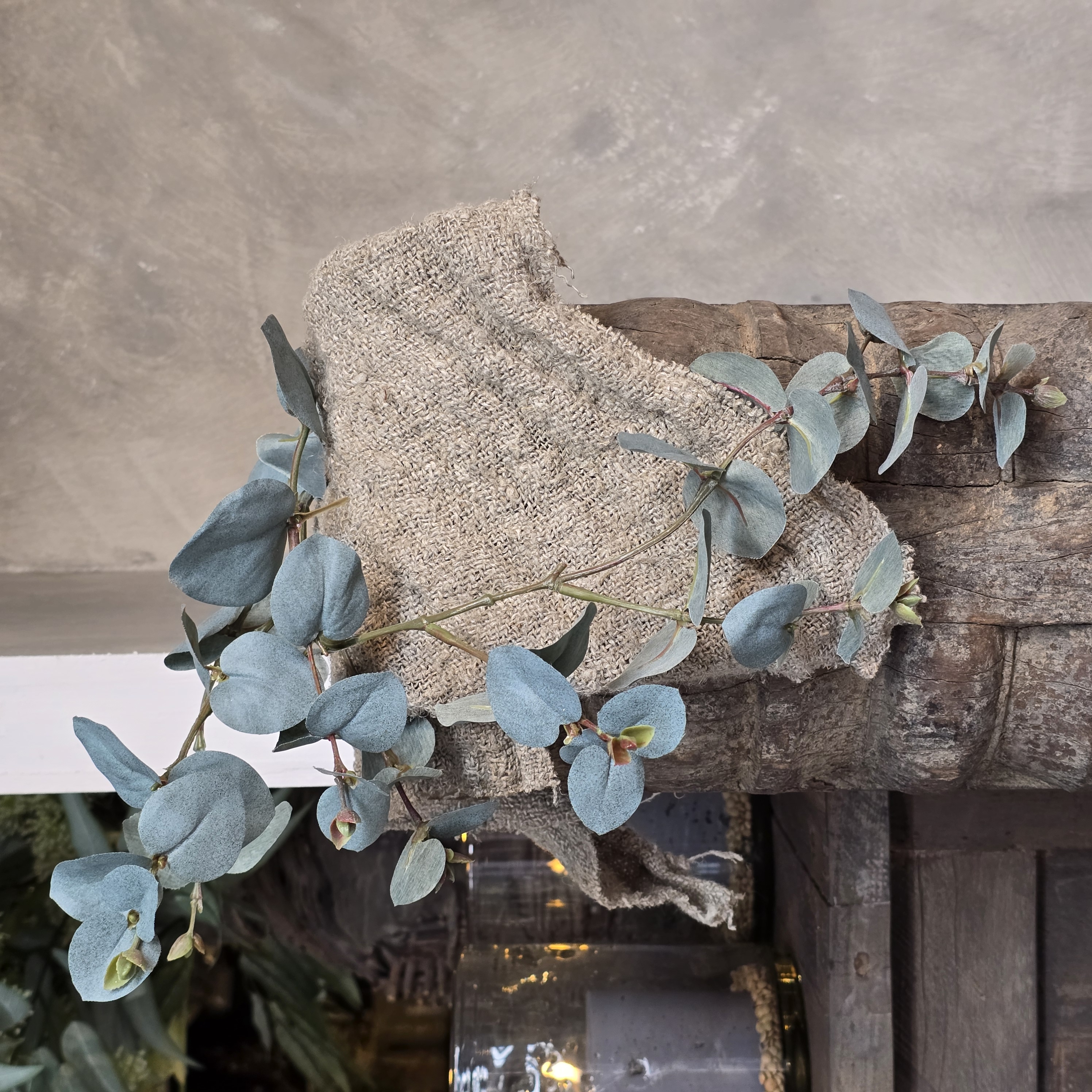 Eucalyptus met bloemknopjes