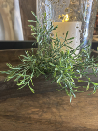 groentoef asparagus
