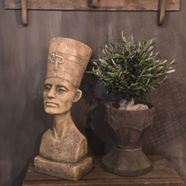 Buste van Nefertiti PTMD