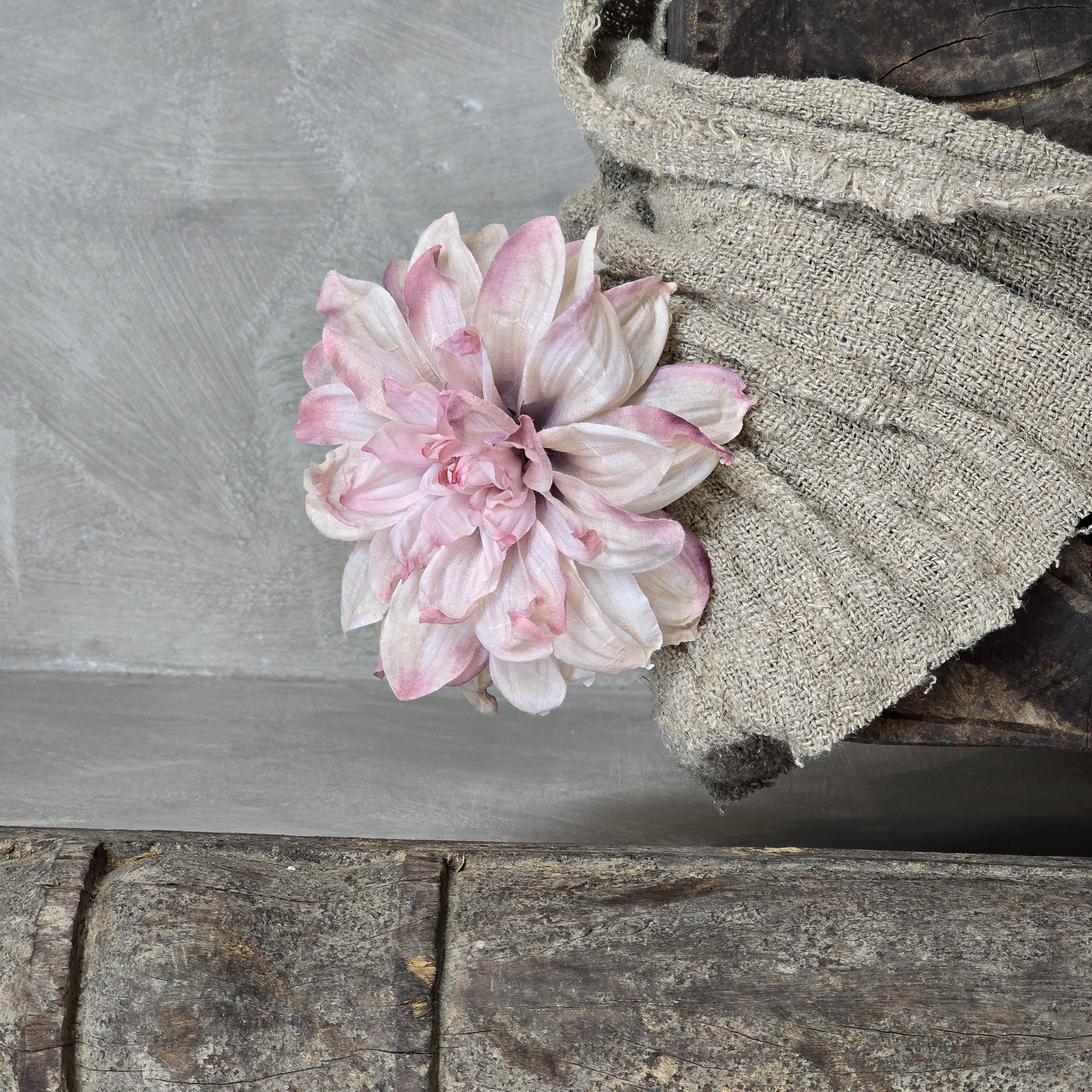 Dahlia