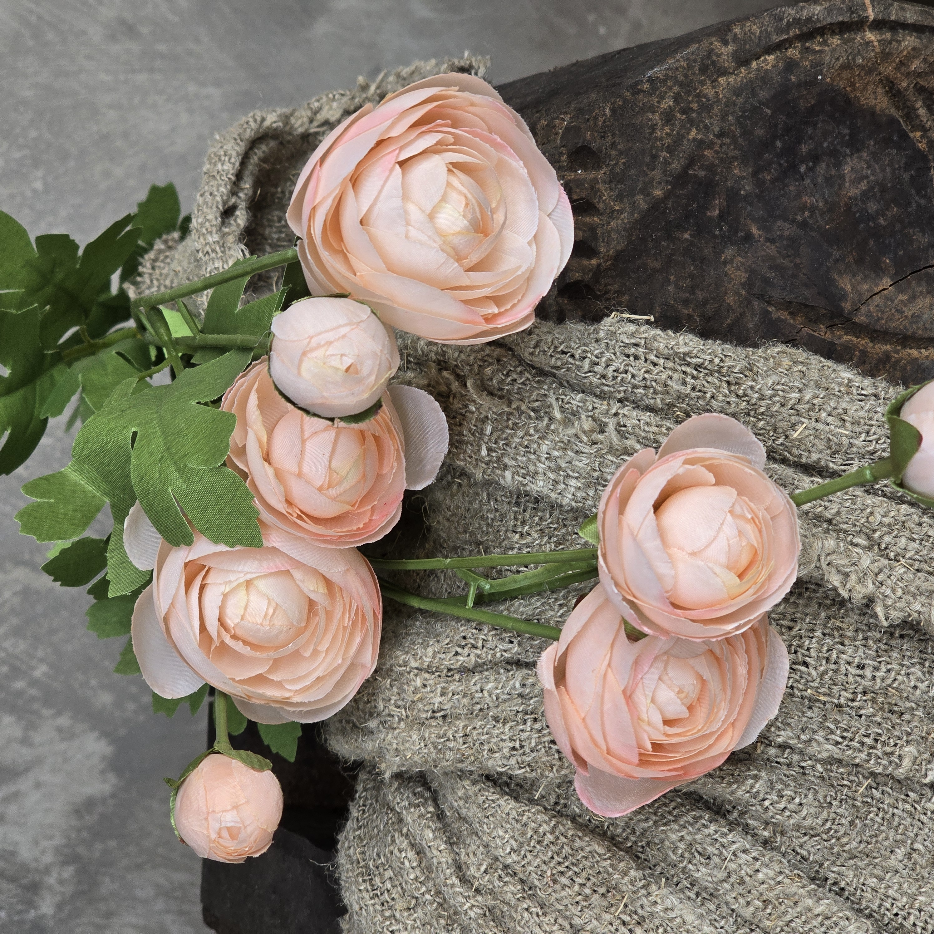 Multi Peony Grande Champagne