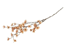 Bloemen tak
