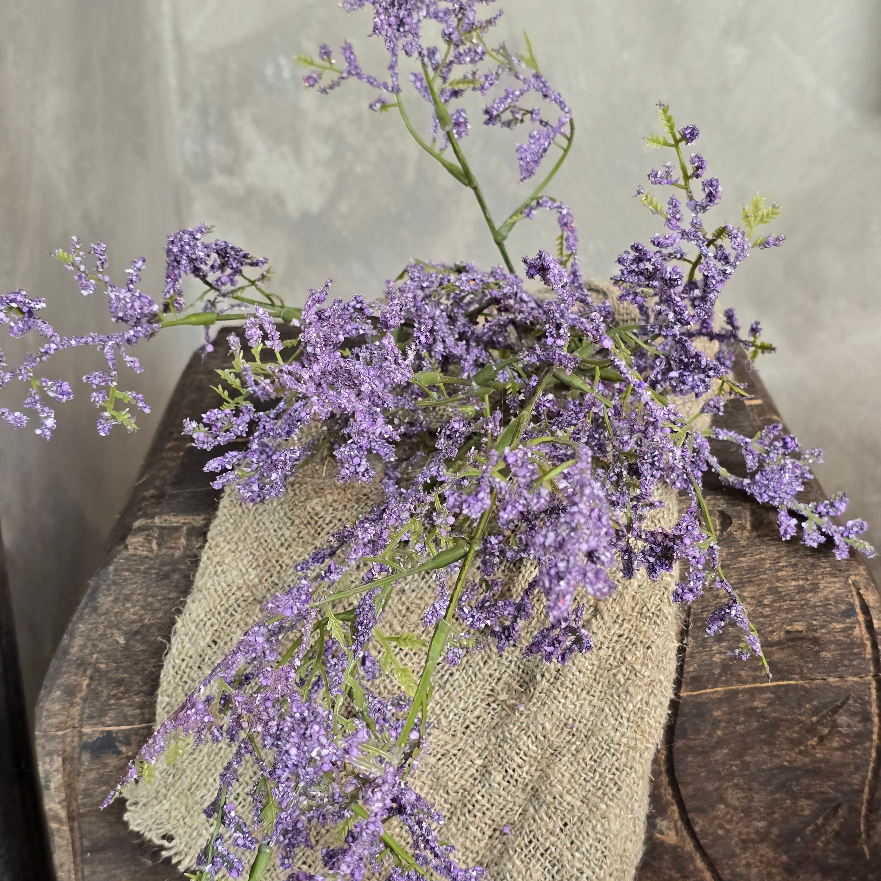Lavendel