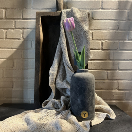 Tulp