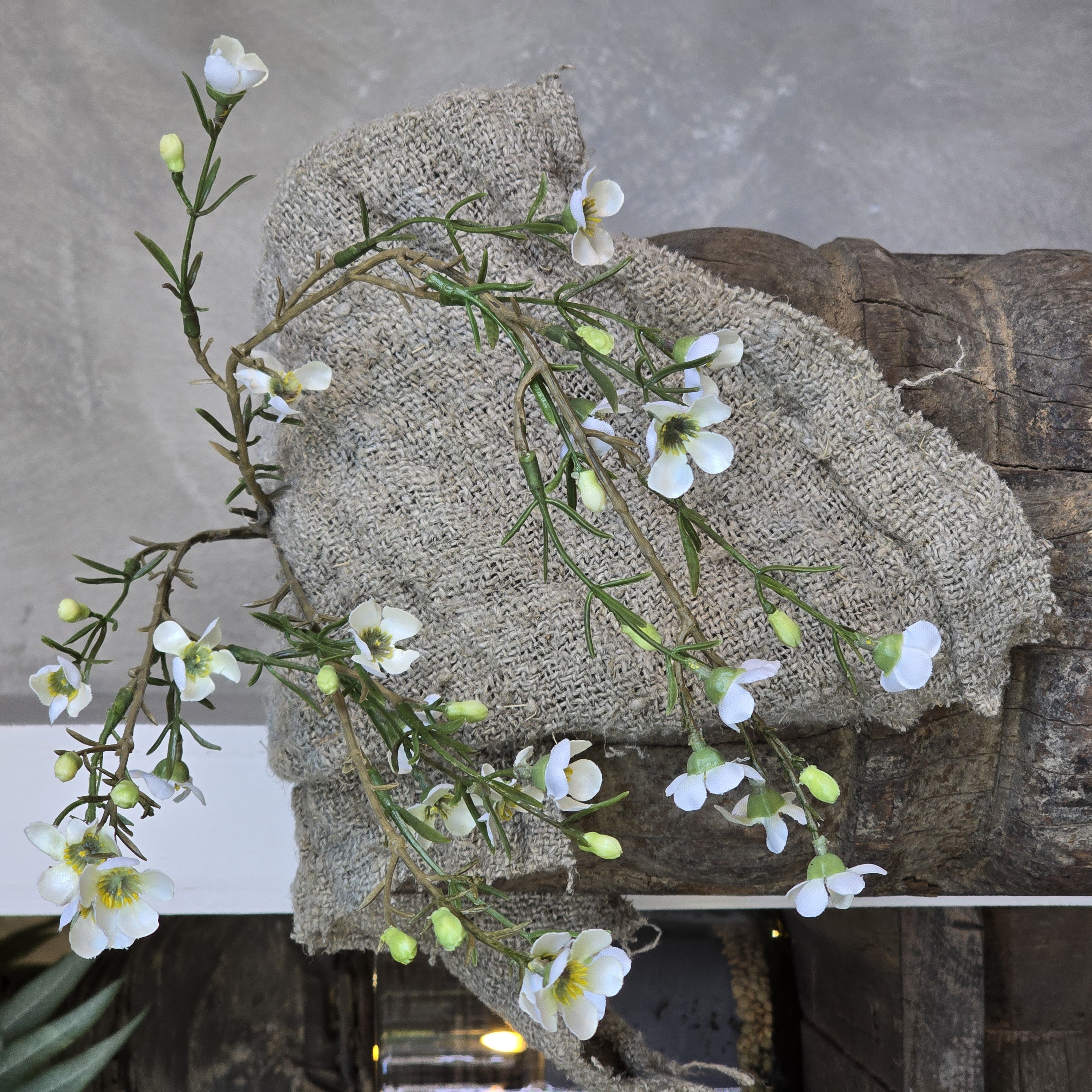 WaxFlower wit