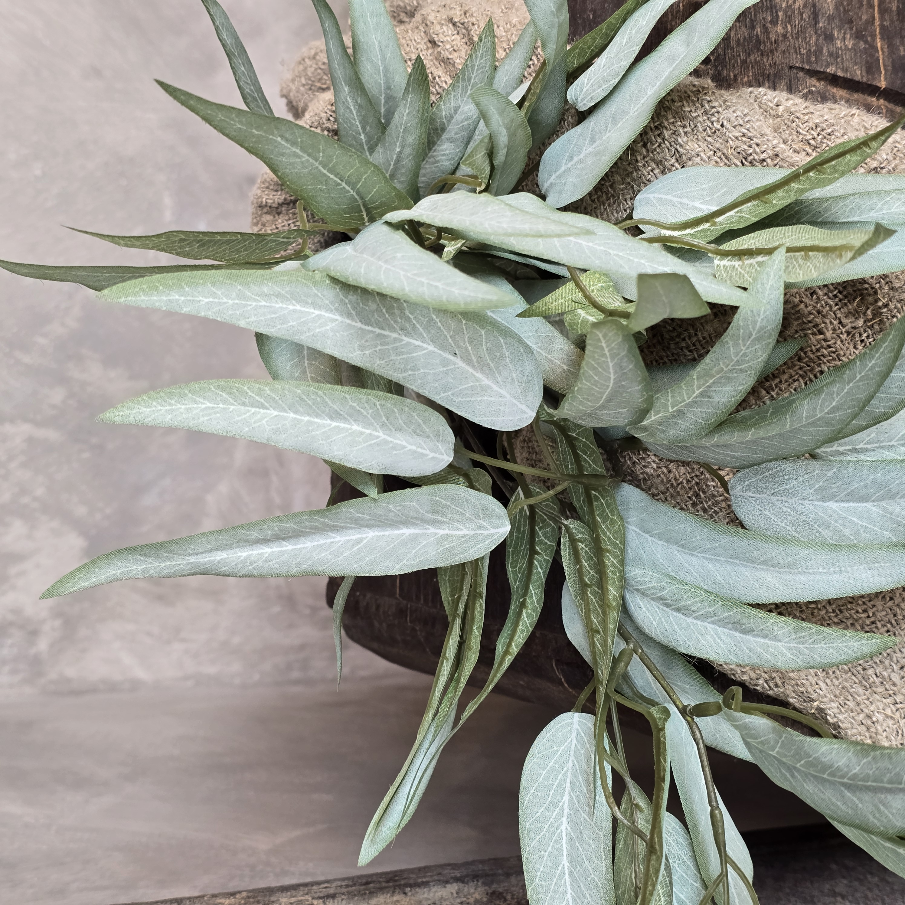Mango blad