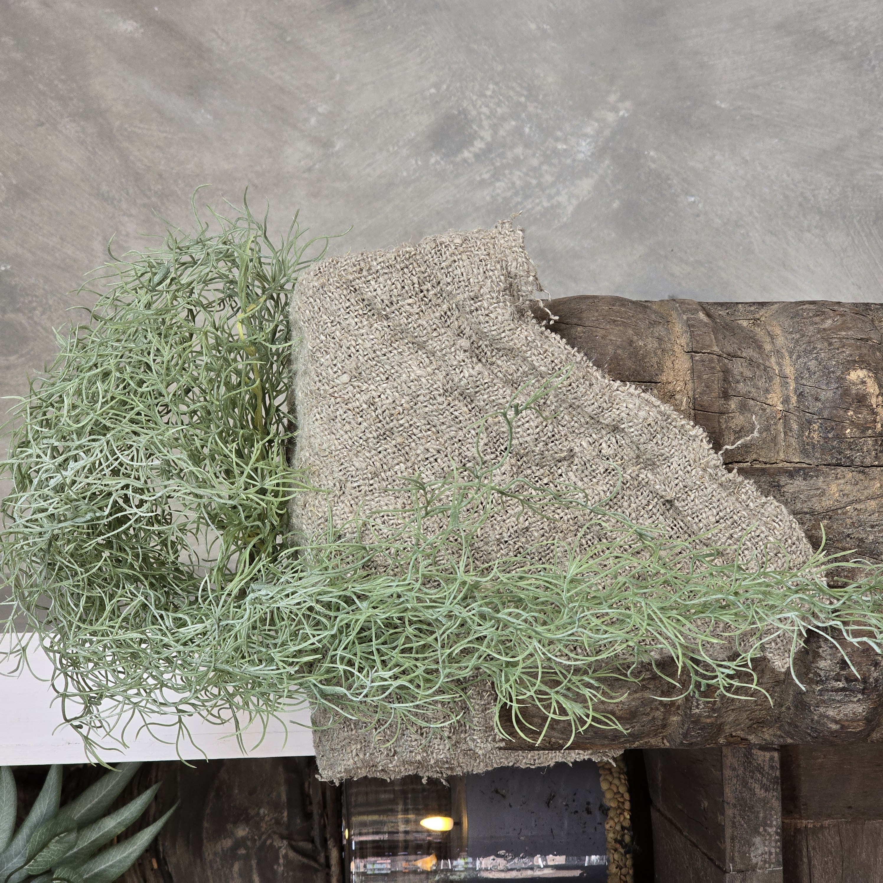 Spanish Moss
