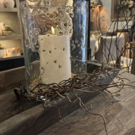Toefje tillandsia